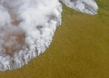 Количество лесных пожаров на Чукотке снизилось на 9% по сравнению с прошлым годом